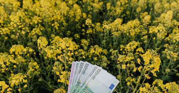 公司形象宣传片制作服务_公司形象宣传片制作服务方案多少钱