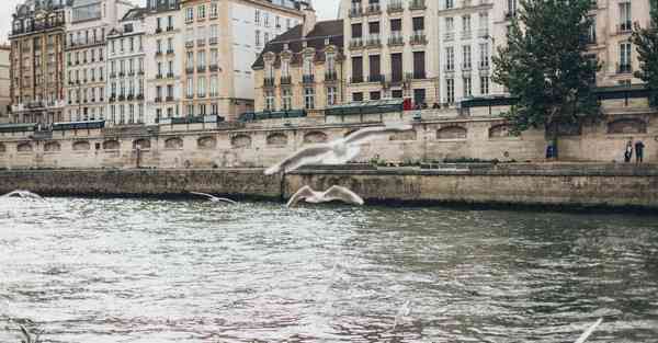 企业宣传片制作价位_企业宣传片制作全过程