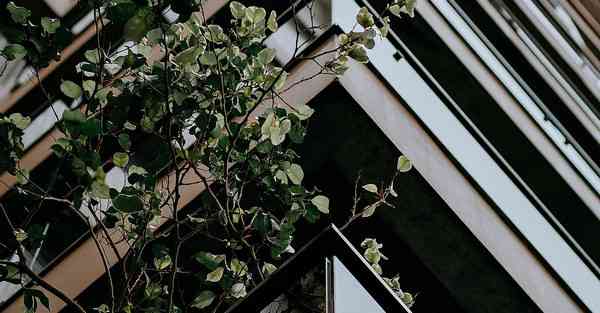 宣传片制作哪家好_宣传片制作公司报价